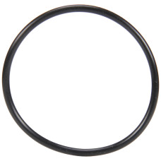 Уплотнительное кольцо для корпусов фильтров 891(ОR-02)